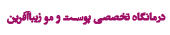 logo366666